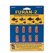 6034_Image Furan 2 Caps.jpg